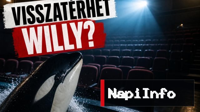 Visszatérhet Willy: új Free Willy-filmen dolgozik a Warner Bros.